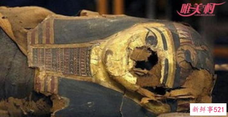 木乃伊的脑子是从鼻子里掏出来的吗，埃及木乃伊墓出土