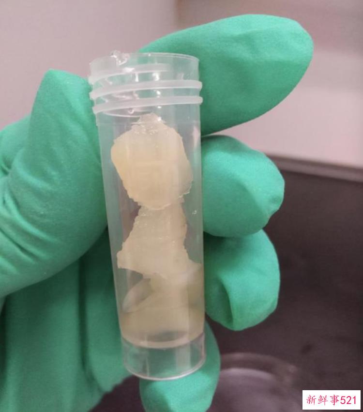 大个子老鼠挖出的文物，河南挖出现实版僵尸