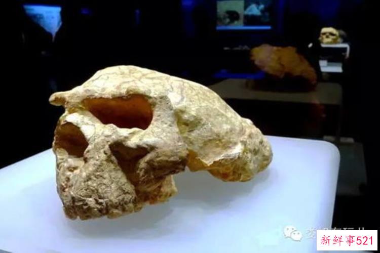 武汉市考古所，湖北考古成果回顾