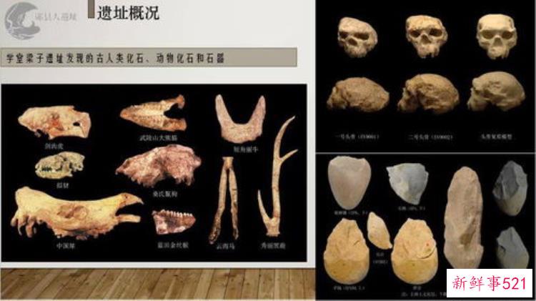 距今100万年前的头骨化石在湖北境内，1956湖北境内发现头骨化石