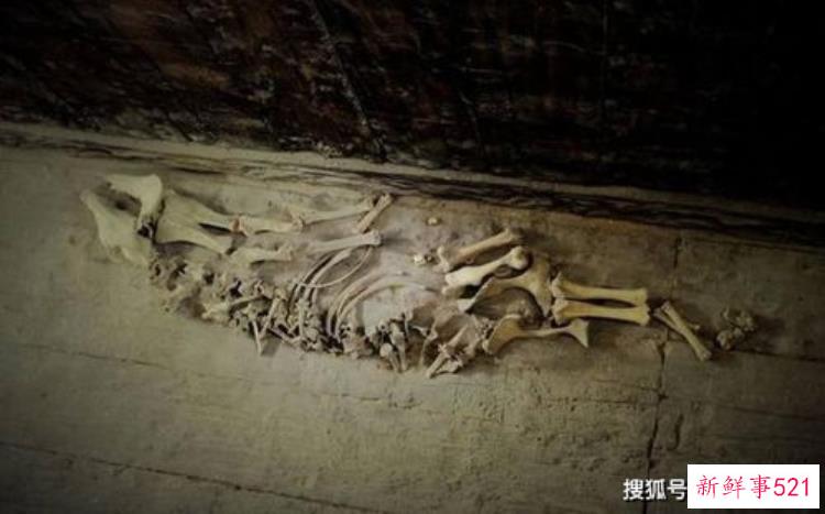 首都博物馆古代玉器精品展，汉代黄玉一级文物玉器