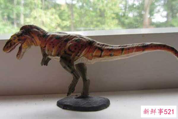 中国斗鱼-龟和蜥蜴的结合体(生活在浅水区-生于三叠纪)