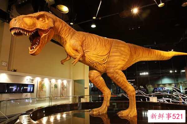 中国斗鱼-龟和蜥蜴的结合体(生活在浅水区-生于三叠纪)