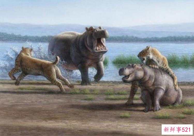 洛阳市文物考古研究院向福昌小学捐赠图书