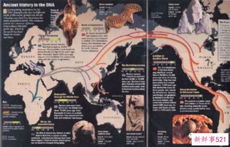 人类的起源是谁发现的，人的祖先起源