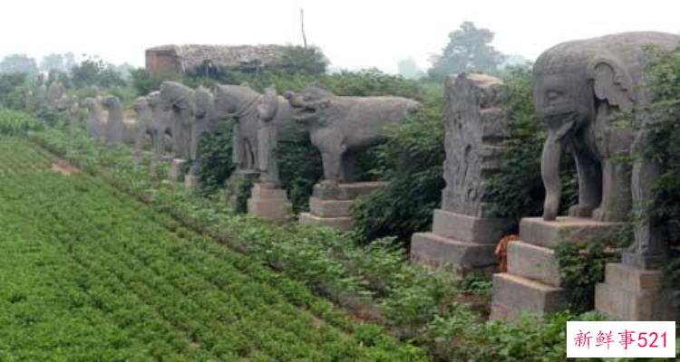 清平乐宋朝皇宫，清平乐张贵妃怀孕大肚子