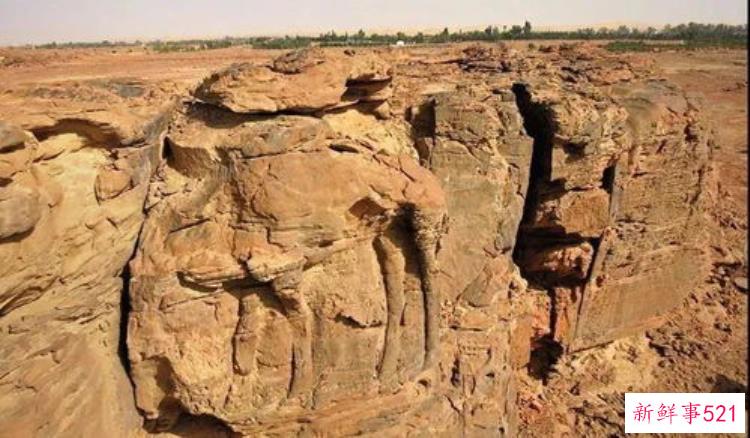 2020浙江考古重要发现，杭州西湖雷峰塔出土的宝贝