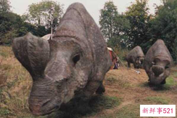 翼龙诺里斯-最大的飞行爬行动物(翼展12米)