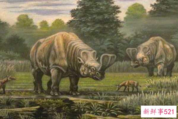 翼龙诺里斯-最大的飞行爬行动物(翼展12米)