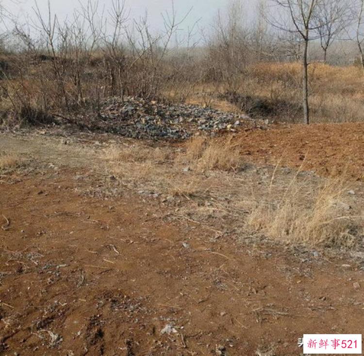 平阴出土文物，平阴孝里墓地