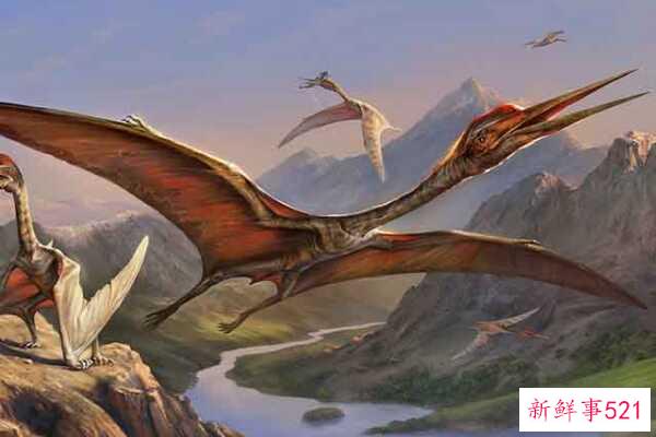 翼龙诺里斯-最大的飞行爬行动物(翼展12米)