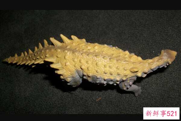 闵米龙-澳大利亚甲龙(仅2米长-背部布满坚硬的瘤鳞)