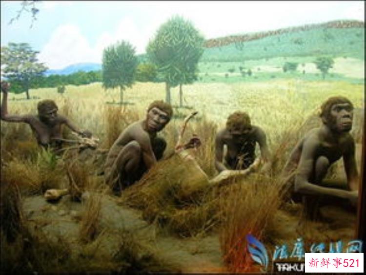 人类的起源是谁发现的，人的祖先起源