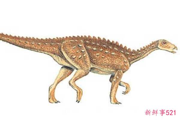 辽宁龙-中国超小型甲龙(化石仅34厘米长)