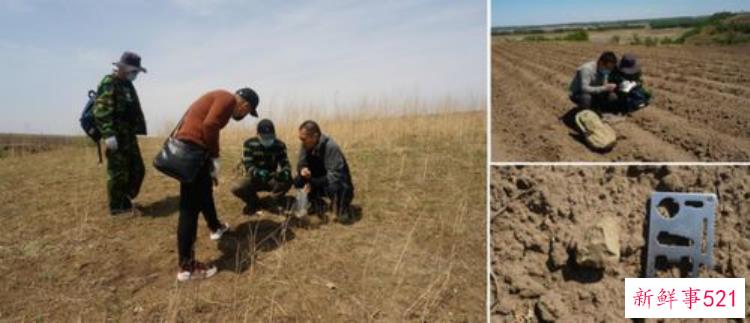 12处旧石器时代遗址在吉林汪清被发现