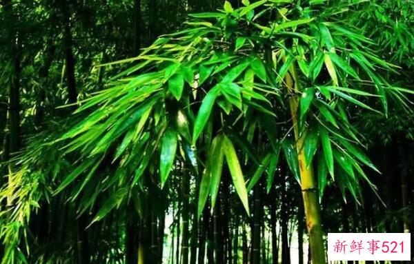 黑化很久的饭盒围裙 可以用洗洁精、盐、牙膏清洗