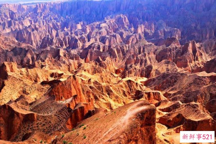 44a29c69c73ff96eb5154882b80d381e.jpg