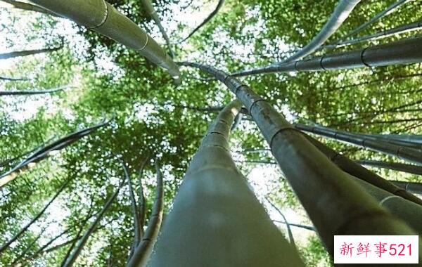 黑化很久的饭盒围裙 可以用洗洁精、盐、牙膏清洗