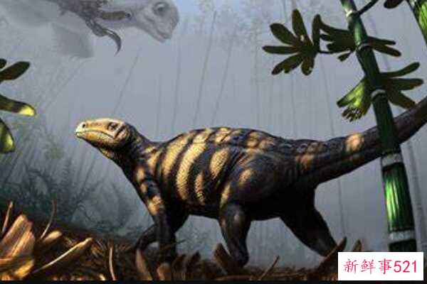 辽宁龙-中国超小型甲龙(化石仅34厘米长)