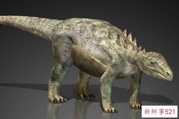 辽宁龙-中国超小型甲龙(化石仅34厘米长)