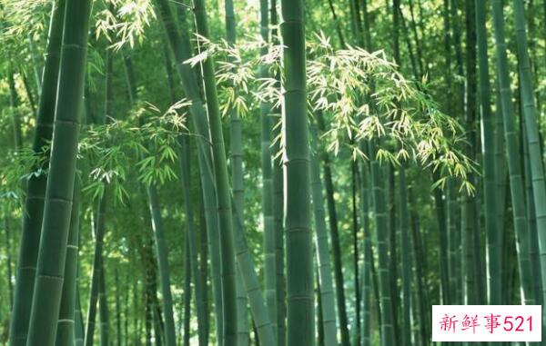 黑化很久的饭盒围裙 可以用洗洁精、盐、牙膏清洗