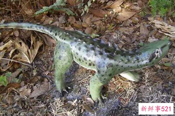 辽宁龙-中国超小型甲龙(化石仅34厘米长)