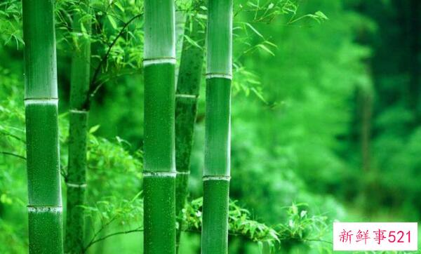 黑化很久的饭盒围裙 可以用洗洁精、盐、牙膏清洗