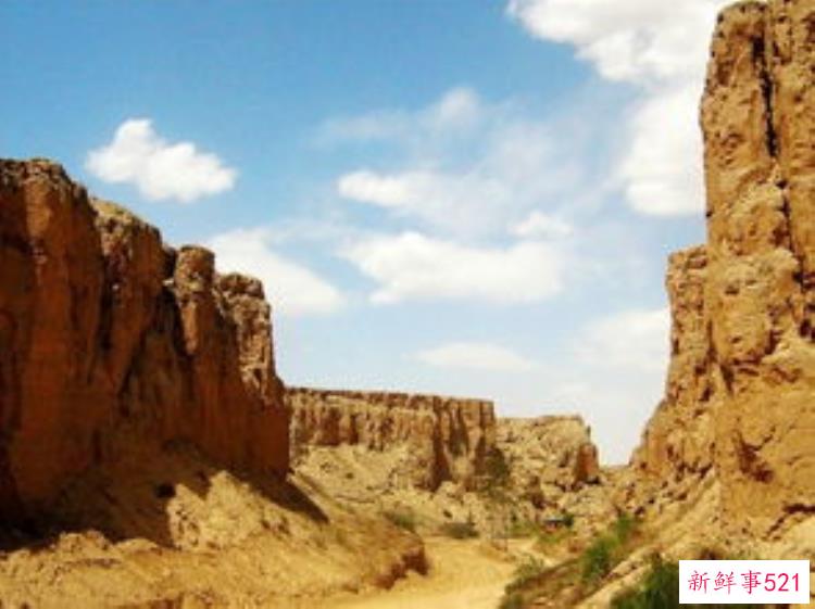 宁夏 考古，宁夏历史影像