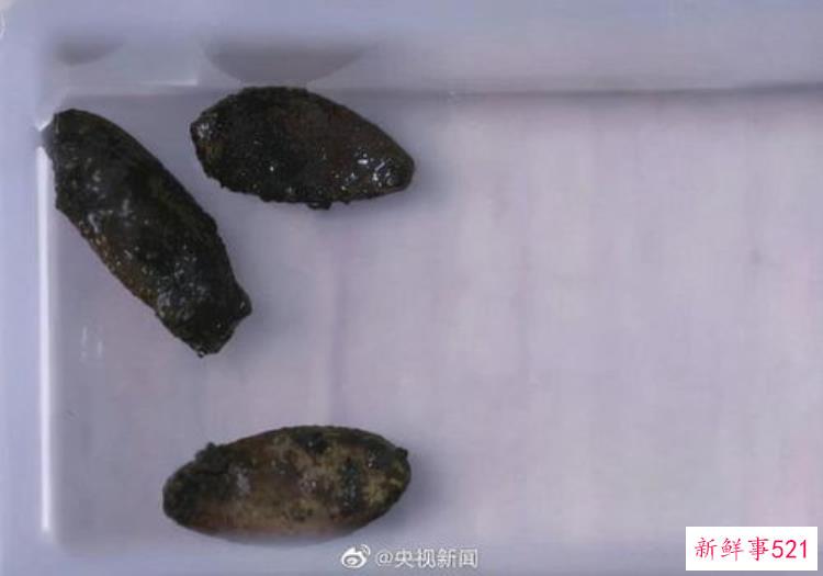 江西南昌西汉海昏侯刘贺墓出土简牍「江西南昌海昏侯刘贺墓粮库出土五种可食用植物遗存」
