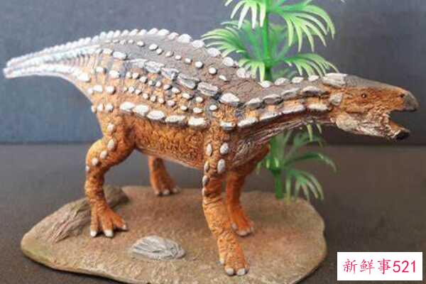 辽宁龙-中国超小型甲龙(化石仅34厘米长)