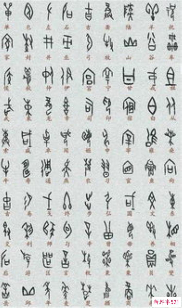 许宏 考古学家，考古专家许宏