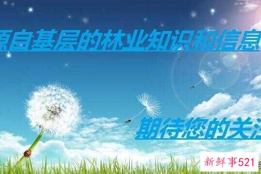 feafb352498a850fb4cecff4e4239b2e.jpg