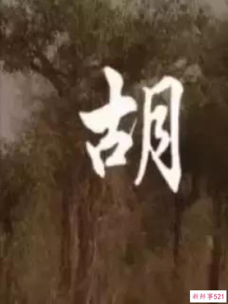关于李四光的电影，关于李四光的资料40个字