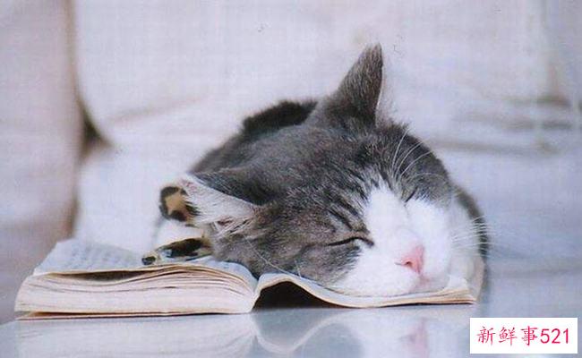 地球不停的挖到底是什么？苏联试图挖透地球