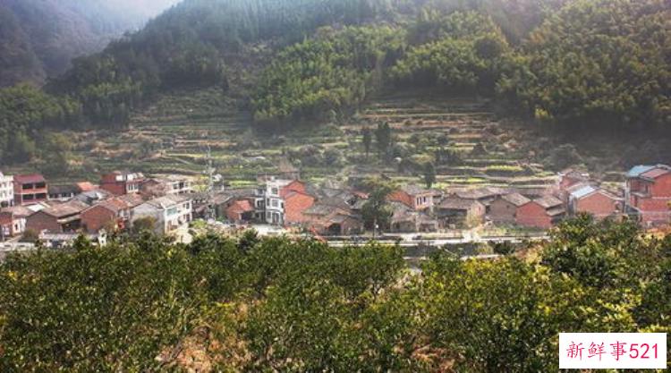 洛阳墓葬图，洛阳考古发掘古墓