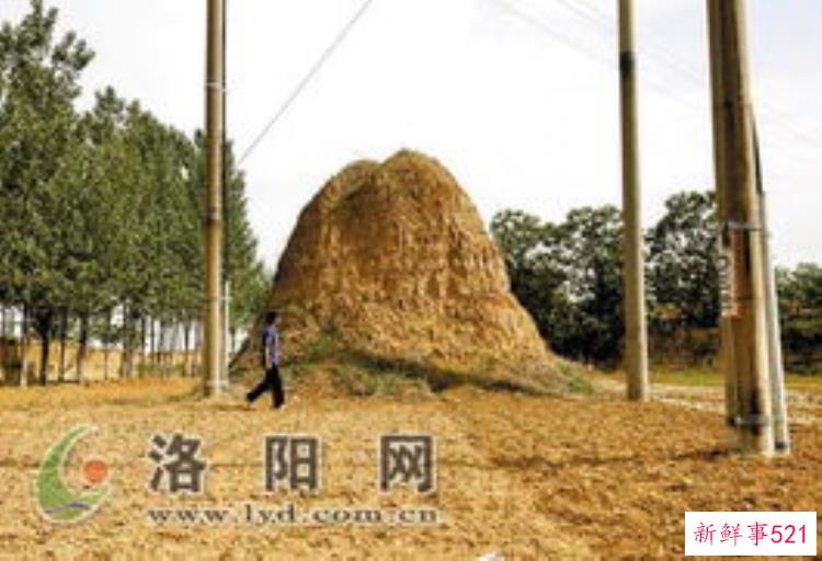 洛阳墓葬图，洛阳考古发掘古墓
