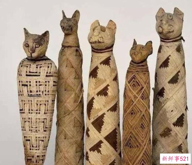 埃及发现数十具距今约2700年的动物木乃伊多少年了，埃及考古发现30具木乃伊