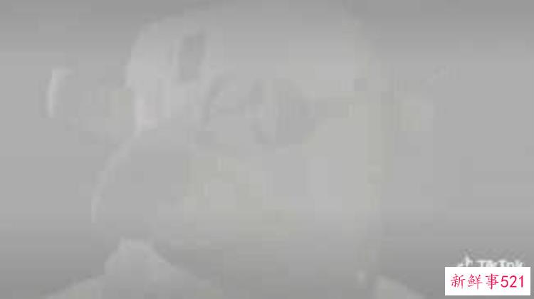 57207095cf566c5e2af9c0b7d0247161.jpg