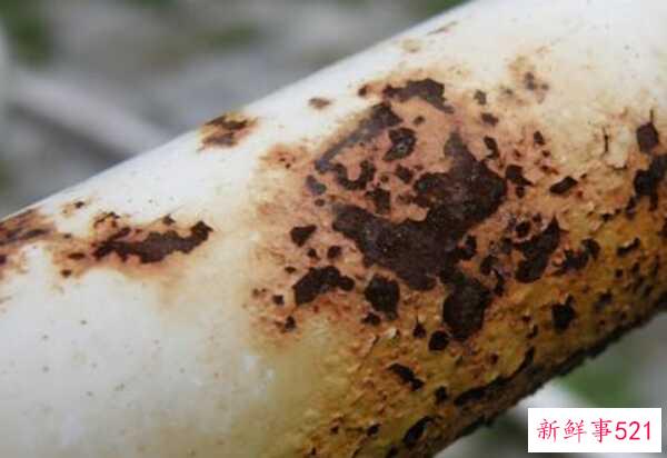 洗不掉的污渍怎么办？十大去除污渍小窍门