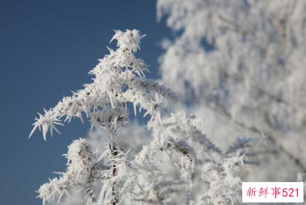 冬天的特点有哪些？冬天的十大优点与缺点