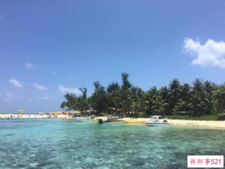 美国西雅图雷尼尔雪山「西雅图雷尼尔雪山火山踏花行」