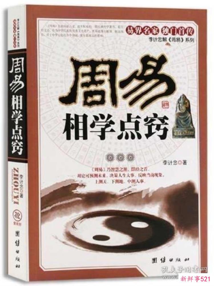 道术风水算命类的小说，小说最强鉴宝大师