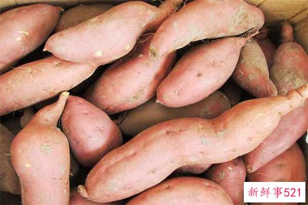 消化不好可以吃红薯吗？消化不好可以吃什么水果？