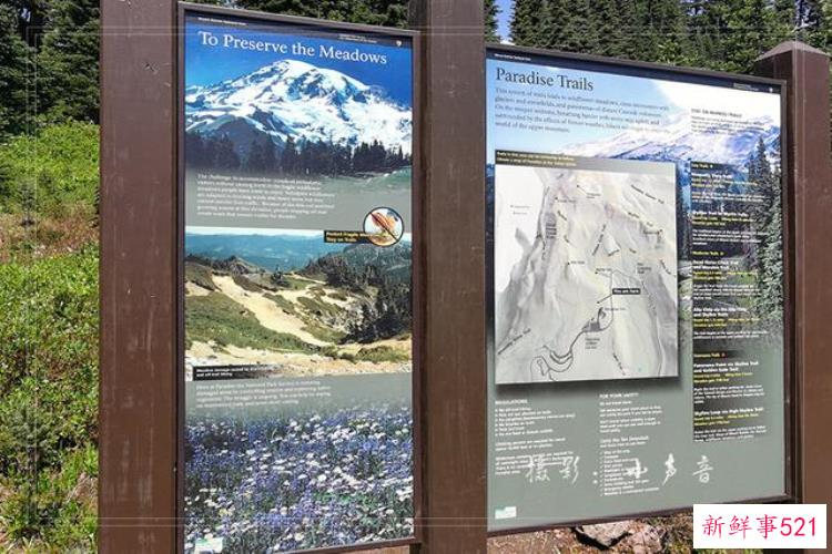 美国西雅图雷尼尔雪山「西雅图雷尼尔雪山火山踏花行」