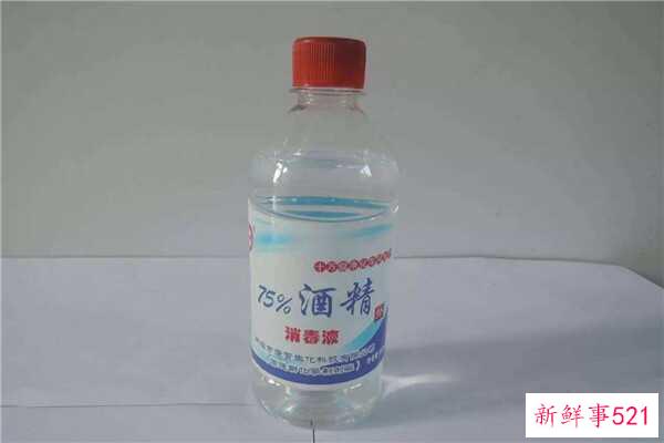 酸奶和咖喱饭一起吃可以吗？酸奶促进消化-咖喱促进食欲