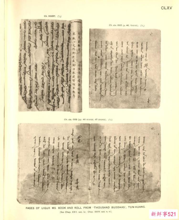 6ca11ccd59a1a02e3cf677425ad88a83.jpg