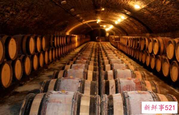 橡树象征着什么意义？橡树的十大外形特征和作用