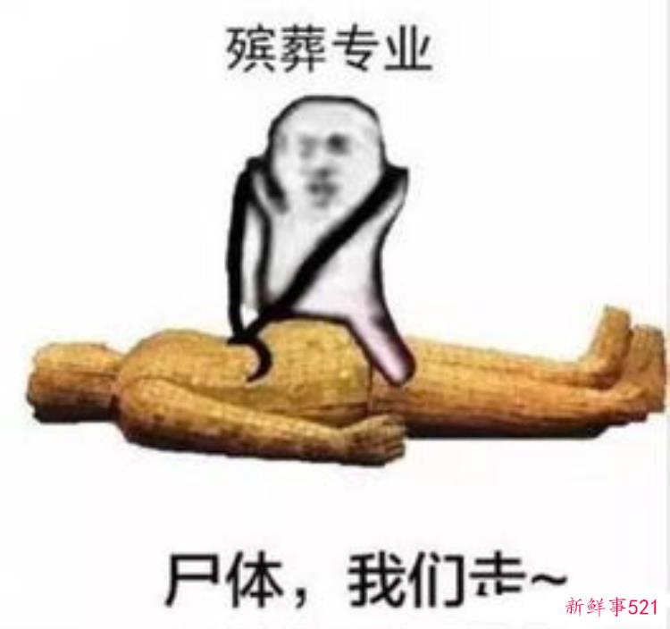 哪些专业工作稳定，冷门专业入职建议