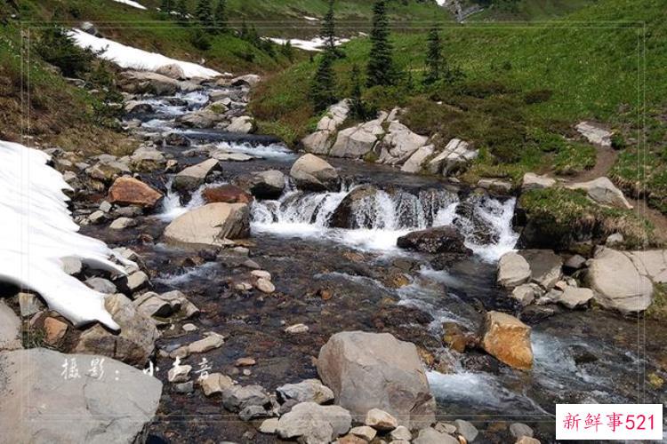美国西雅图雷尼尔雪山「西雅图雷尼尔雪山火山踏花行」
