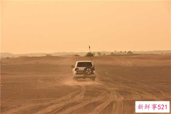 吃鸭锁骨的危害鸭锁骨和大蒜能一起吃吗？